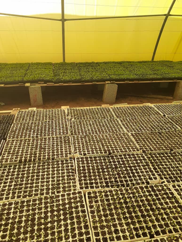 معدات زراعية حديثة